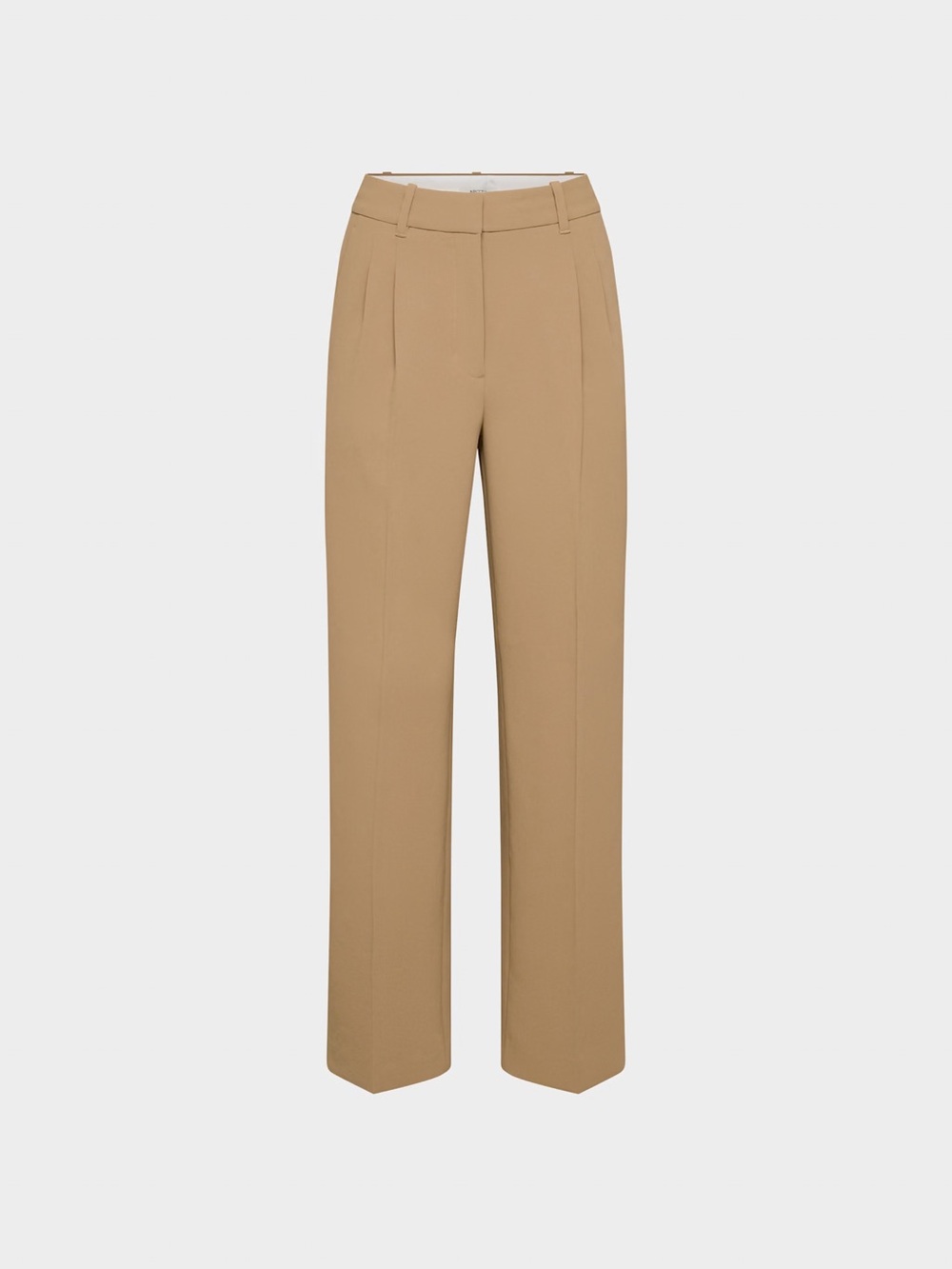 Aritzia Wide-Leg High-Rise Pants in Camel